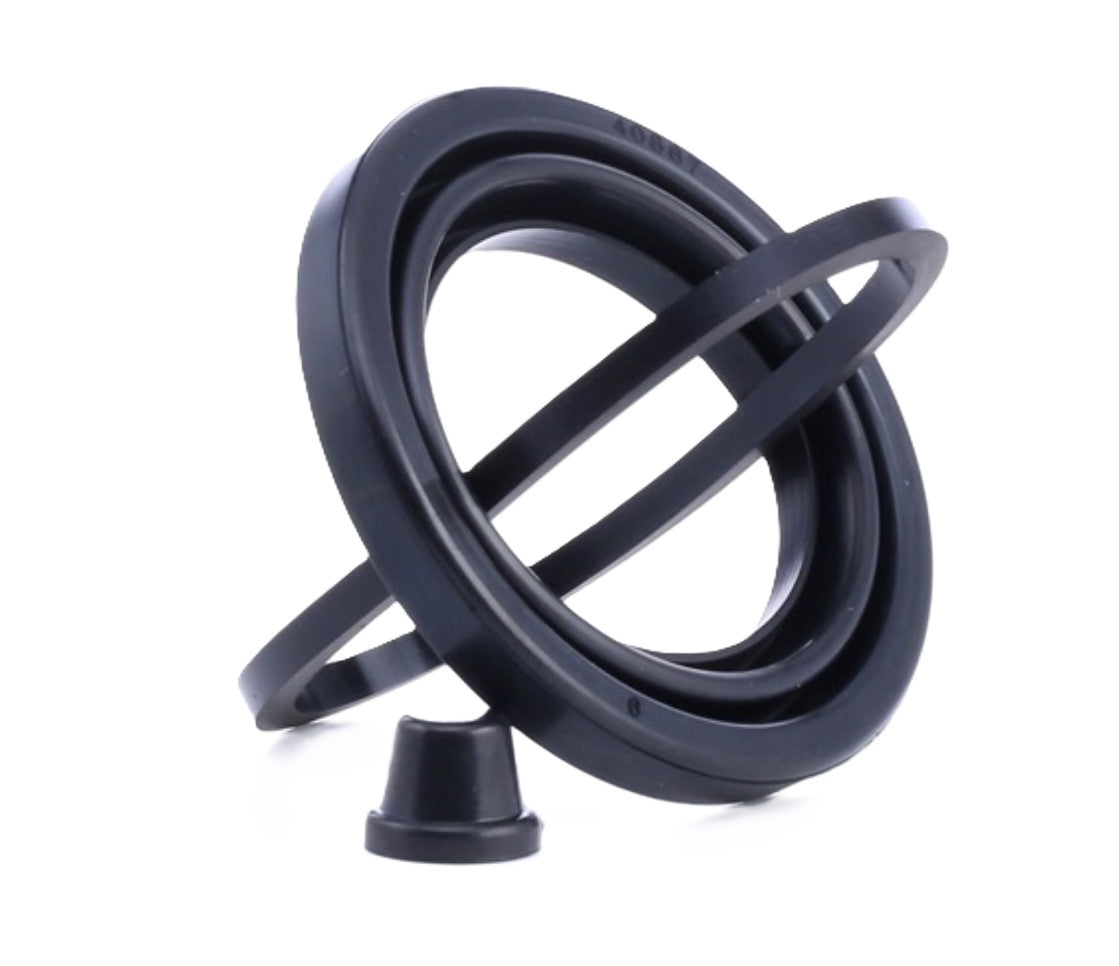 Kit revisione pinza freno POSTERIORE Nissan Patrol Y61